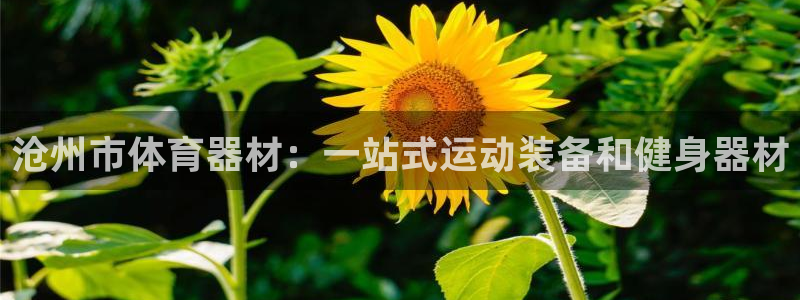 尊龙凯时凯发官网：沧州市体育器材：一站式运动装备和健