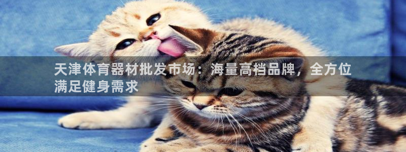 ZL尊龙凯时集团：天津体育器材批发市场：海量高档品牌