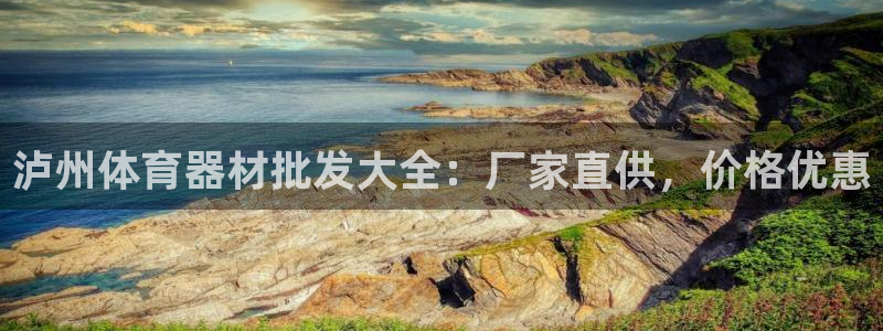 尊龙凯时 人生就是搏!平台：泸州体育器材批发大全：厂