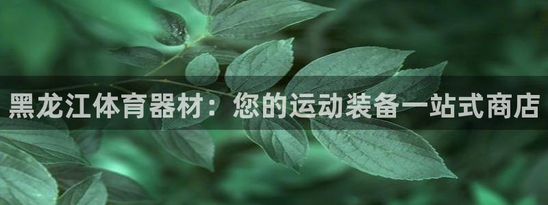 z6尊龙平台是哪里的：黑龙江体育器材：您的运动装备一