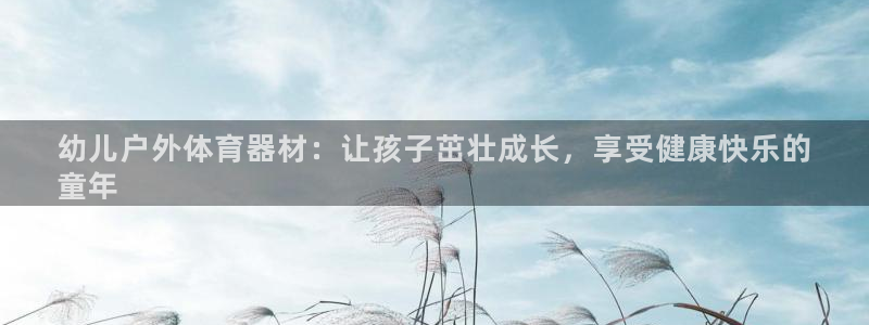 尊龙ag旗舰厅官网官方入口：幼儿户外体育器材：让孩子