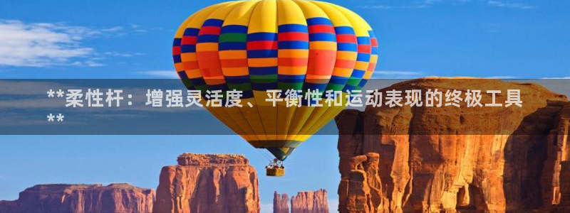 尊龙体育游戏平台：**柔性杆：增强灵活度、平衡性和运