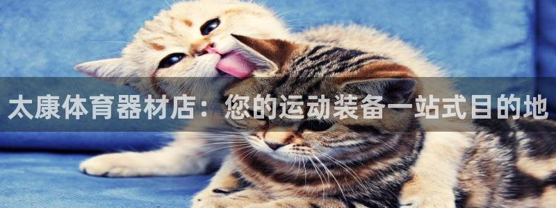 尊龙凯时是直营吗：太康体育器材店：您的运动装备一站式