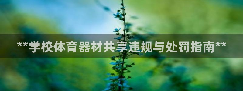 尊龙官网手机版下载：**学校体育器材共享违规与处罚指