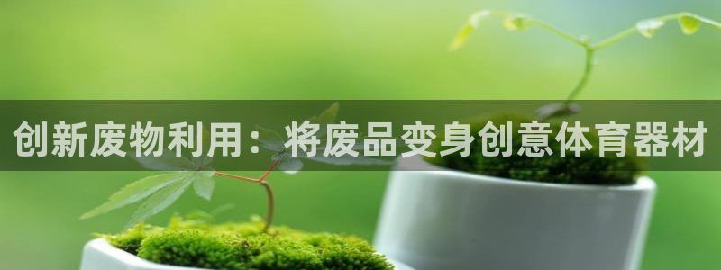 尊龙人生就要博旧版：创新废物利用：将废品变身创意体育
