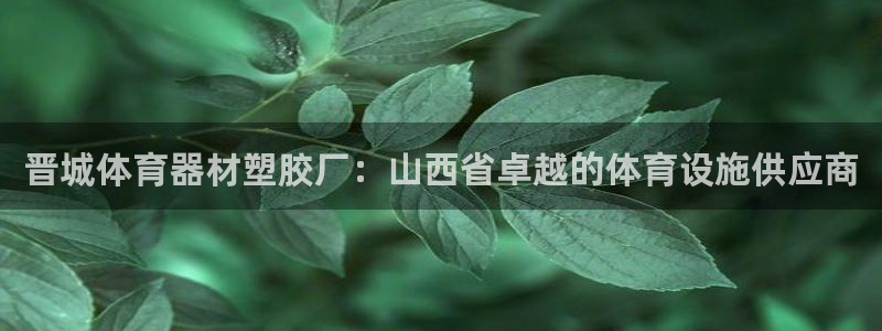 尊龙人生就是博官：晋城体育器材塑胶厂：山西省卓越的体