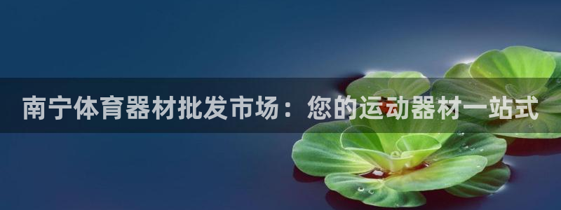 尊龙凯时防屏蔽网址：南宁体育器材批发市场：您的运动器
