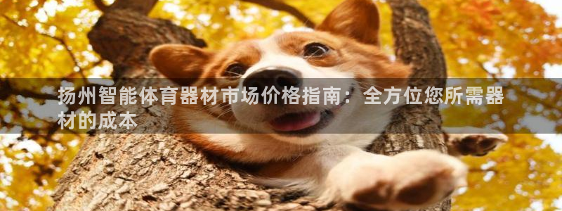 尊龙新版app首页：扬州智能体育器材市场价格指南：全