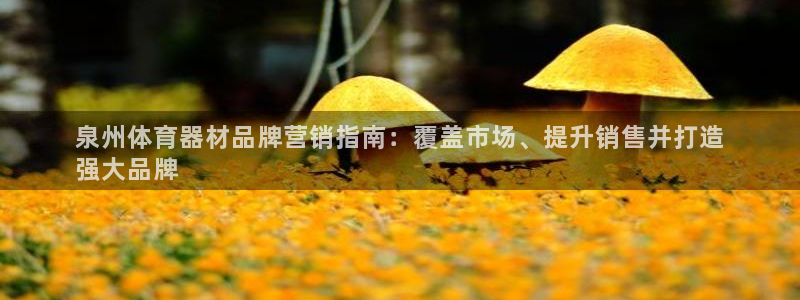 尊龙人生就是博下载：泉州体育器材品牌营销指南：覆盖市