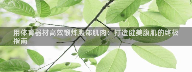 尊龙凯时干什么的：用体育器材高效锻炼腹部肌肉：打造健