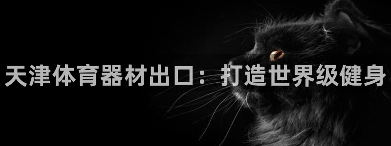 尊龙官网在哪里：天津体育器材出口：打造世界级健身