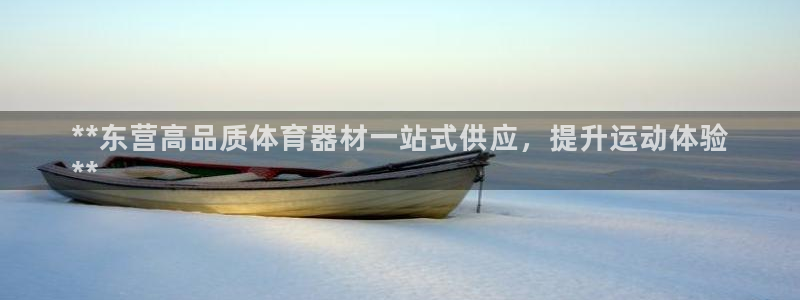 尊龙凯时论坛：**东营高品质体育器材一站式供应，提升