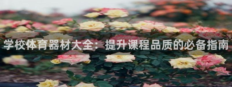 尊龙凯时ag旗舰：学校体育器材大全：提升课程品质的必