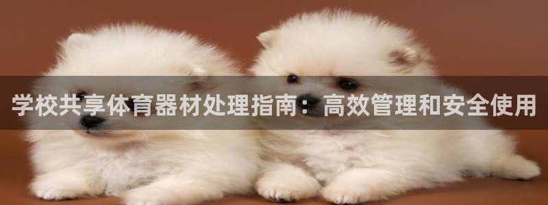 尊龙凯时最新平台登陆：学校共享体育器材处理指南：高效