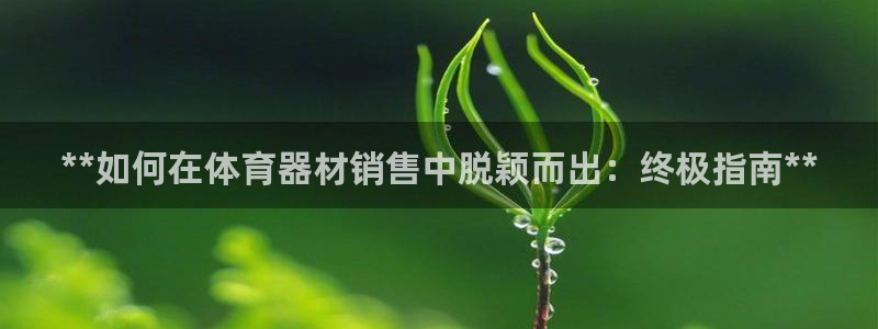 尊龙凯时泰安：**如何在体育器材销售中脱颖而出：终极