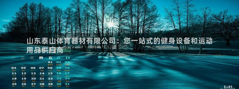 尊龙2020：山东泰山体育器材有限公司：您一站式的健