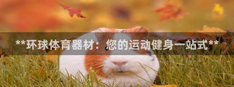 Z6尊龙官网入口：**环球体育器材：您的运动健身一站