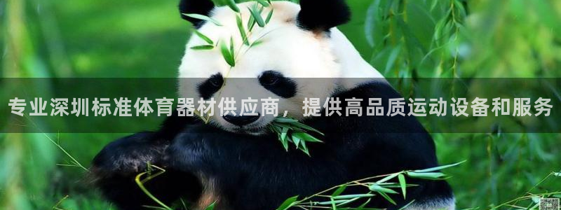 尊龙服饰有限公司地址：专业深圳标准体育器材供应商，提