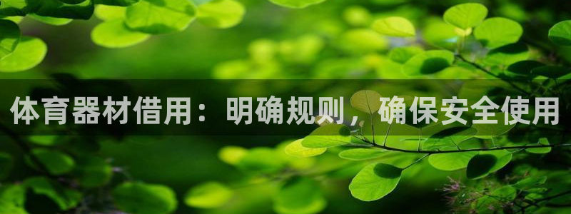 尊龙网平台：体育器材借用：明确规则，确保安全使用
