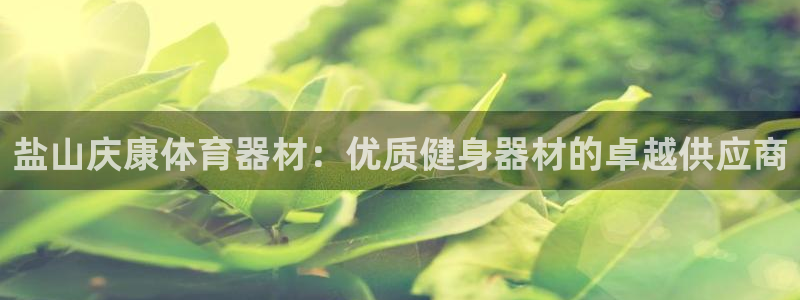 尊龙凯时输了100万：盐山庆康体育器材：优质健身器材