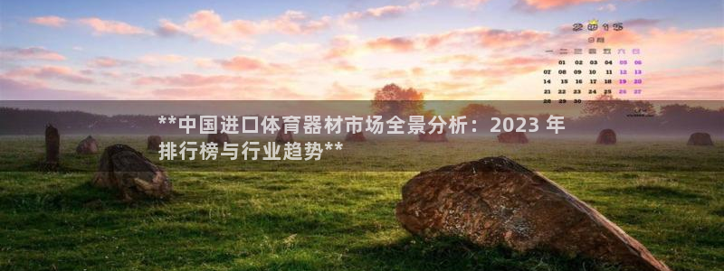 凯时游戏官方网站：**中国进口体育器材市场全景分析：