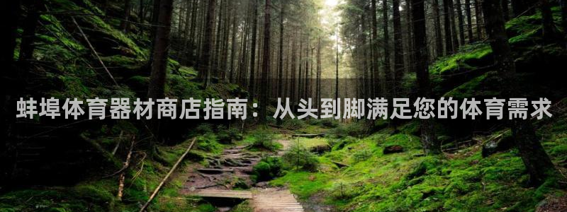 尊龙凯时取款24小时不到账：蚌埠体育器材商店指南：从