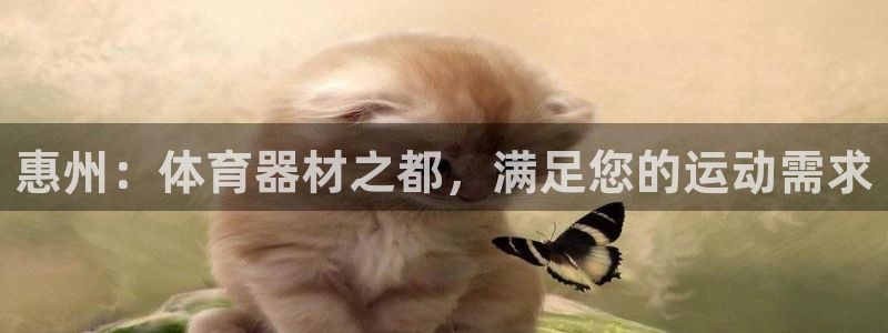 尊龙凯时人生就是搏z6com：惠州：体育器材之都，满