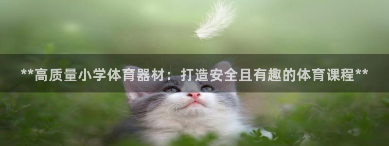 尊龙凯时为什么输了钱：**高质量小学体育器材：打造安