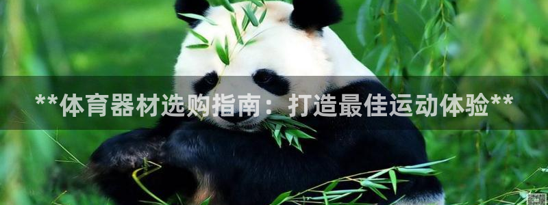 尊龙人生就是博用现金玩一下：**体育器材选购指南：打