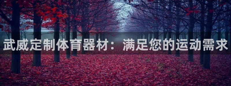 尊龙z6官网ag：武威定制体育器材：满足您的运动需求