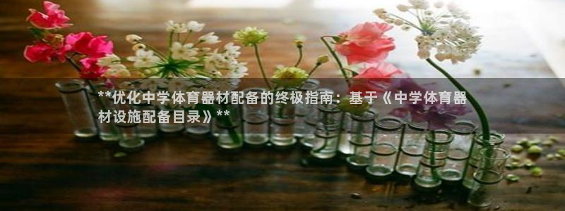 尊龙d88官网确来就送38：**优化中学体育器材配备