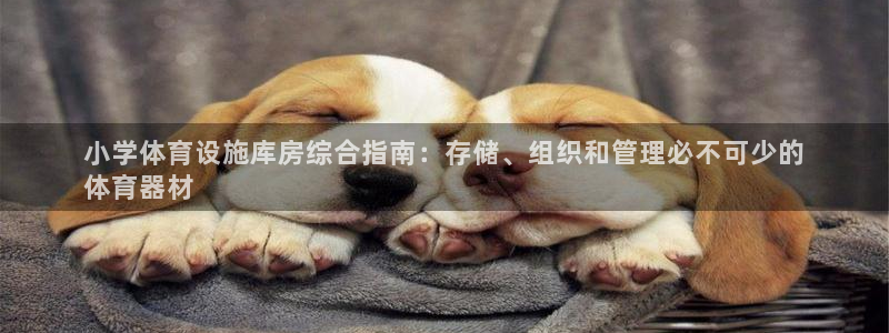 尊龙人生就是博网站：小学体育设施库房综合指南：存储、