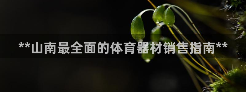 尊龙官方网址：**山南最全面的体育器材销售指南**