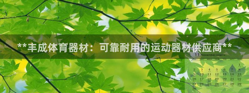 尊龙凯时网站怎么样：**丰成体育器材：可靠耐用的运动