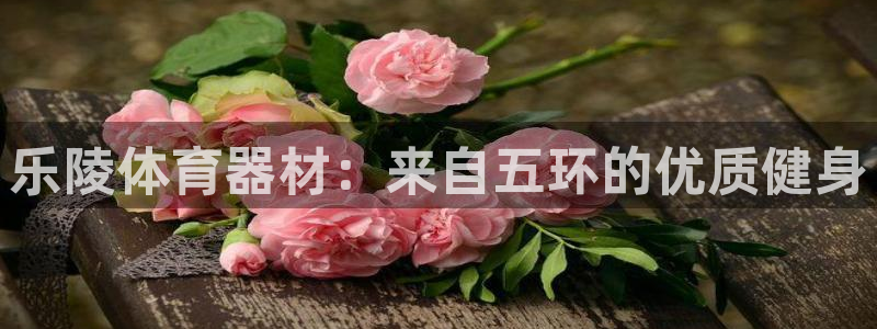 尊龙凯时网：乐陵体育器材：来自五环的优质健身
