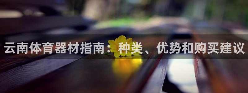 凯时k66娱乐登录：云南体育器材指南：种类、优势和购买建议
