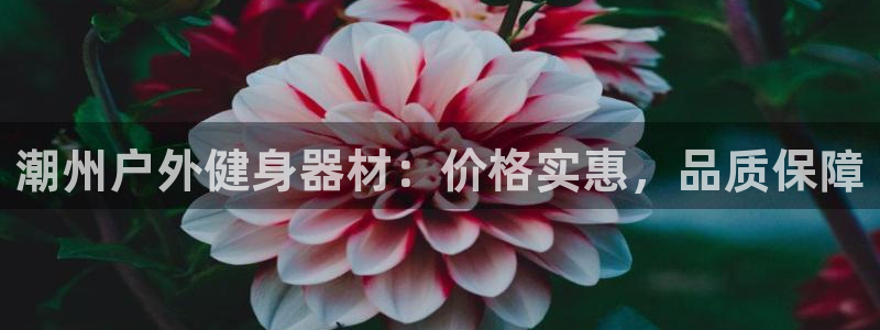 尊龙凯时白家乐：潮州户外健身器材：价格实惠，品质保障
