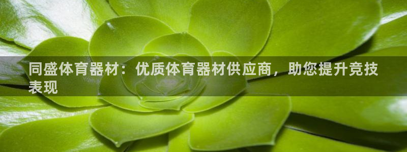 尊龙凯时app官方网站：同盛体育器材：优质体育器材供