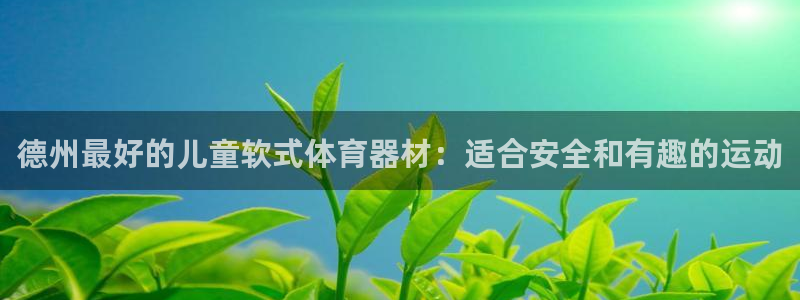 尊龙凯时是赌博嘛：德州最好的儿童软式体育器材：适合安