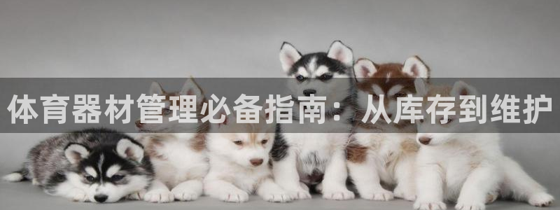 尊龙人生就是博旧版手机可靠送38元：体育器材管理必备