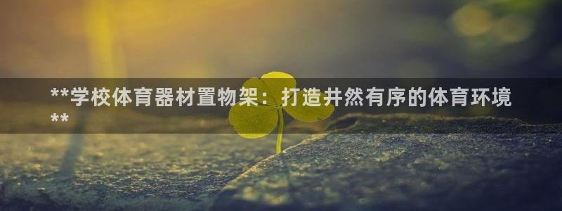 尊龙人生就是博登陆：**学校体育器材置物架：打造井然
