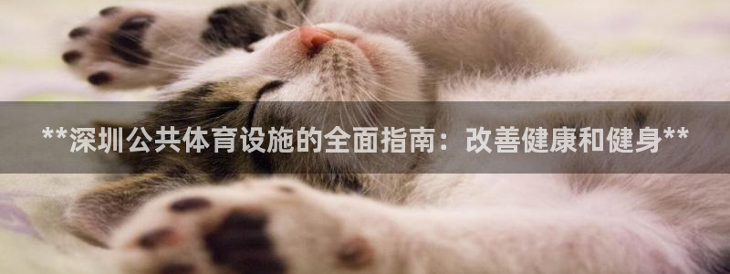 d88尊龙凯时：**深圳公共体育设施的全面指南：改善