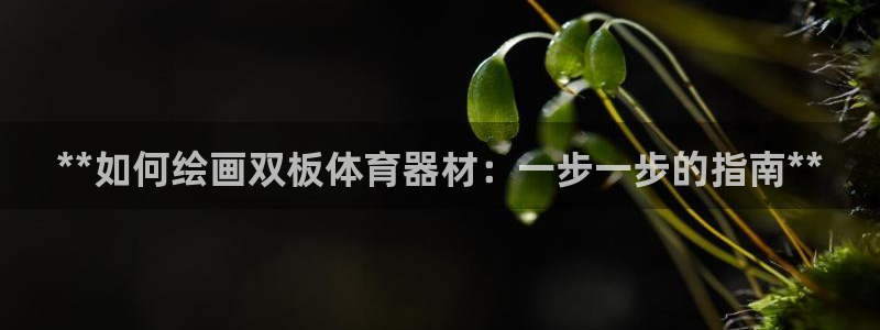 尊龙官网手：**如何绘画双板体育器材：一步一步的指南