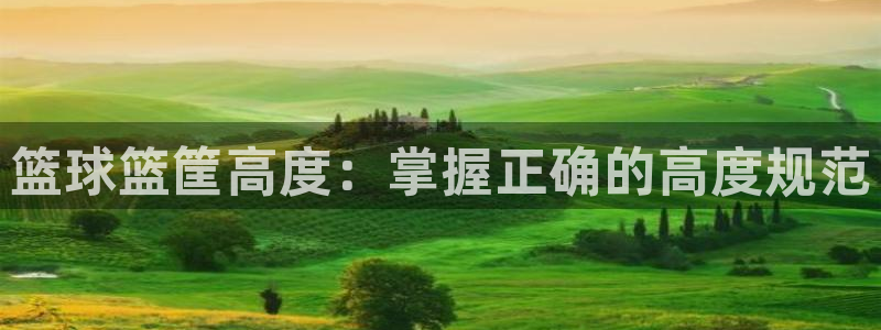 尊龙凯时存款不上分：篮球篮筐高度：掌握正确的高度规范
