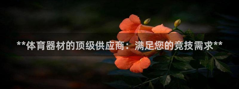 尊龙凯时官网首页：**体育器材的顶级供应商：满足您的