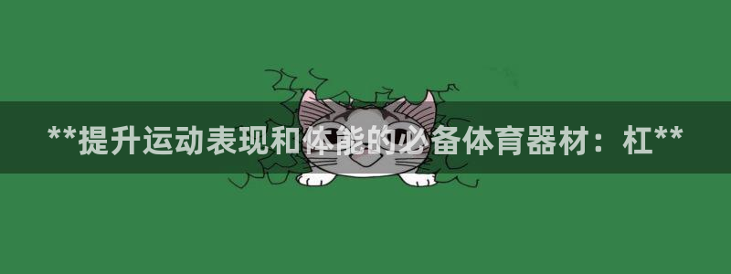 z6尊龙官网：**提升运动表现和体能的必备体育器材：