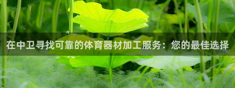 有人在凯时赢过钱吗：在中卫寻找可靠的体育器材加工服务