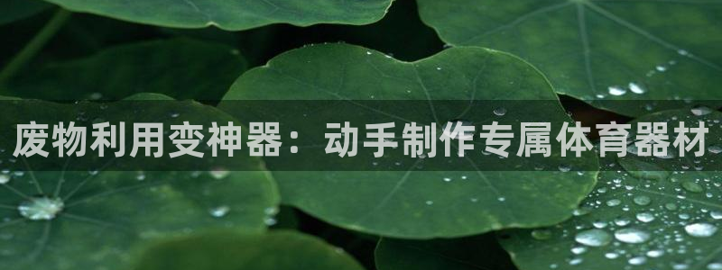 尊龙人生就是博登录首页：废物利用变神器：动手制作专属