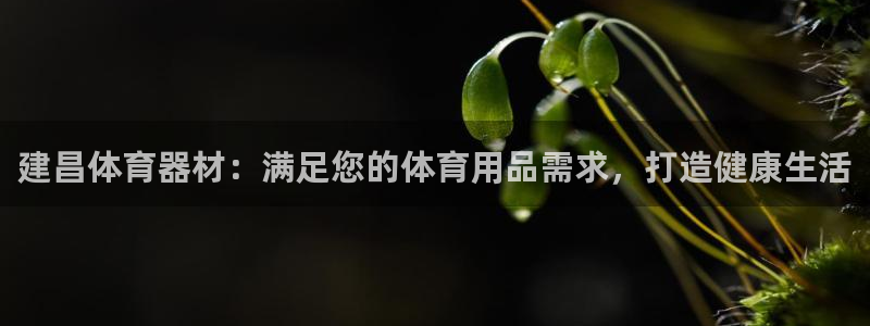 尊龙凯时老板：建昌体育器材：满足您的体育用品需求，打