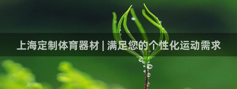 尊龙官网免费下载安装：上海定制体育器材 | 满足您的